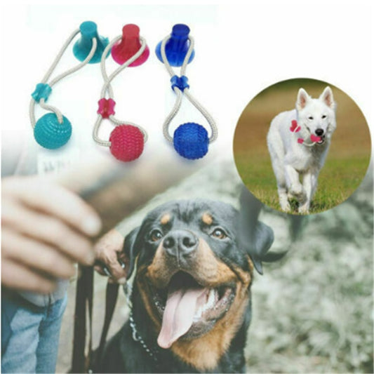 Multifunctional Dog Molar Bite Toy