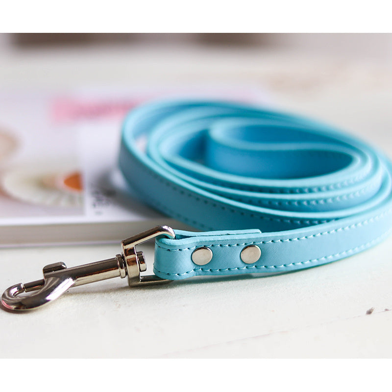 Pet leash collar