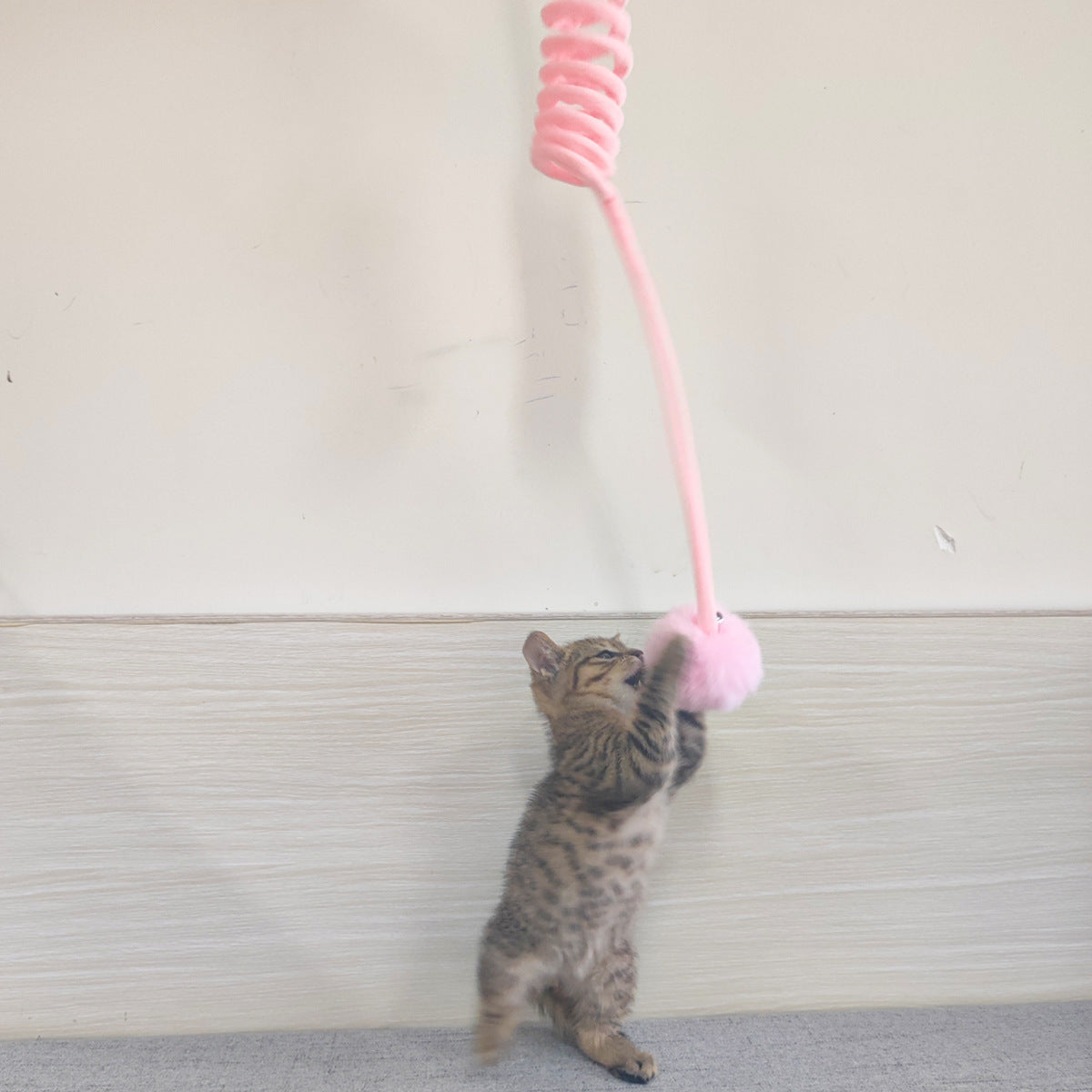 Interactive Spring Cat Toy