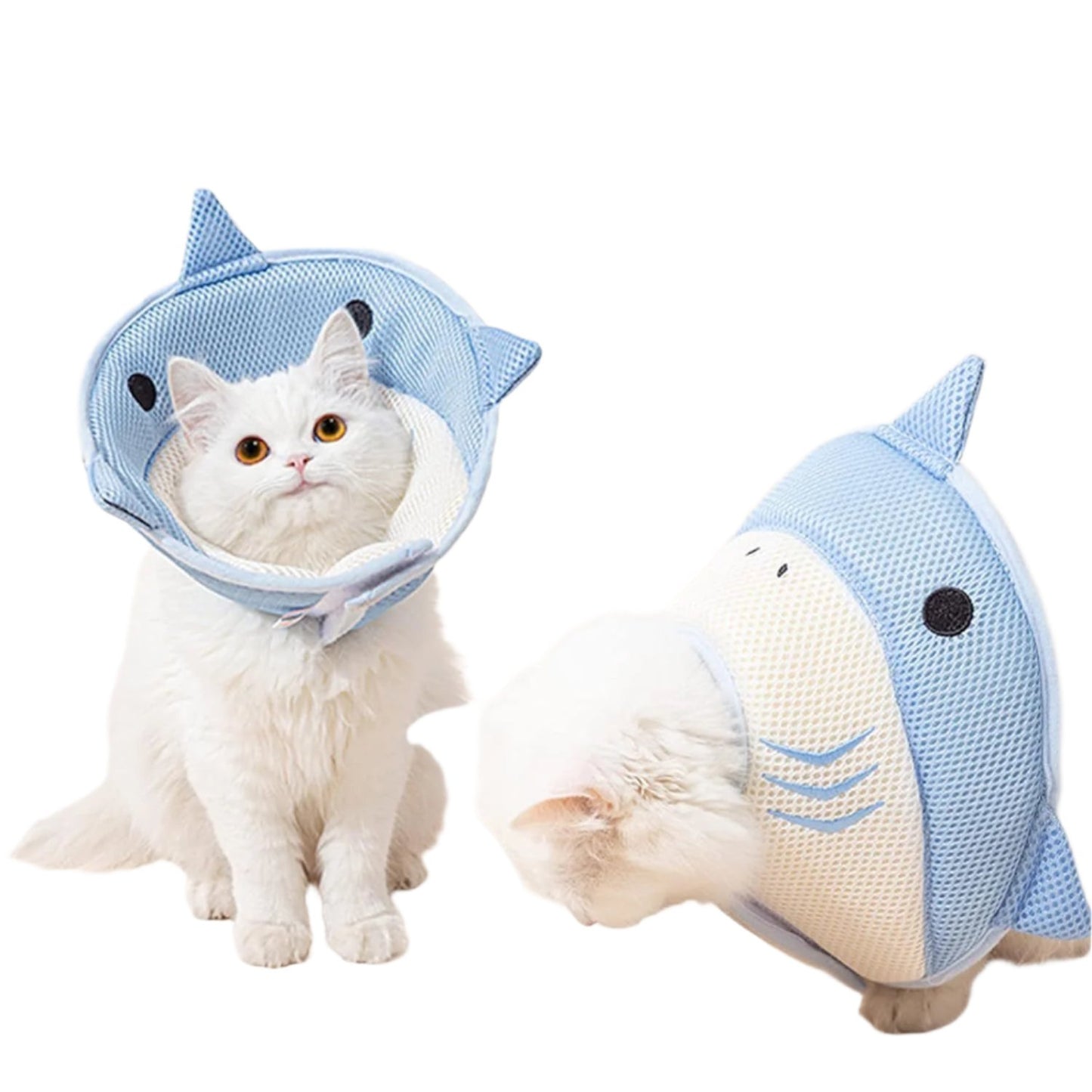 Shark Shaped Cat Recovery Cone