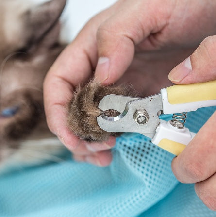 Adjustable Pet Cat Grooming Bag