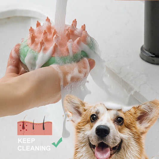 Pet Grooming Brush