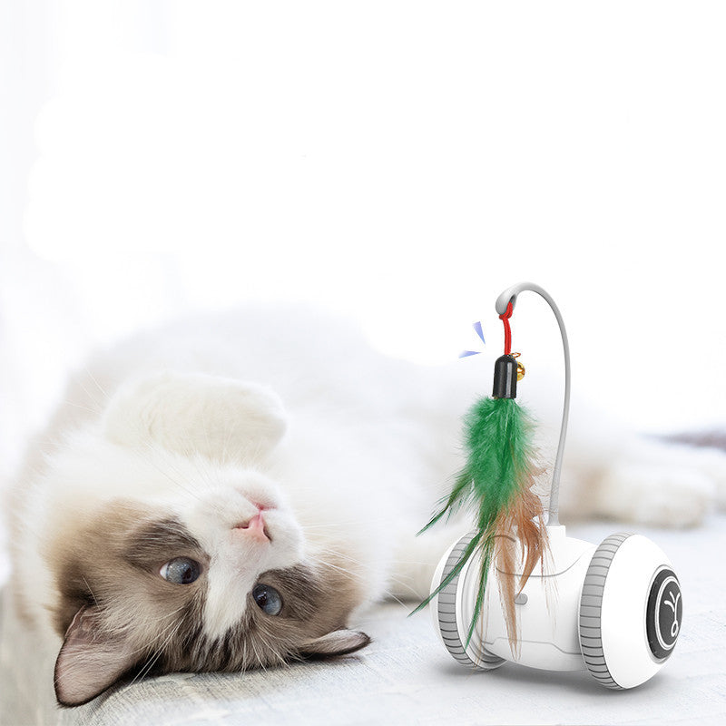 Interactive Cat Toy