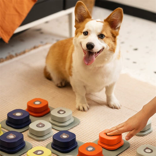 Recordable Pet Talking Button