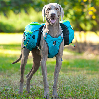 Pet self backpack