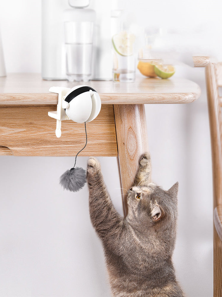 Electric Automatic Lifting Cat Toy