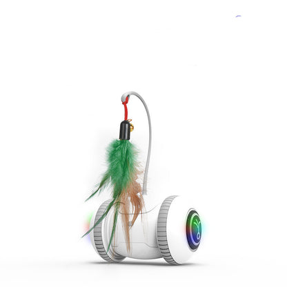 Interactive Cat Toy