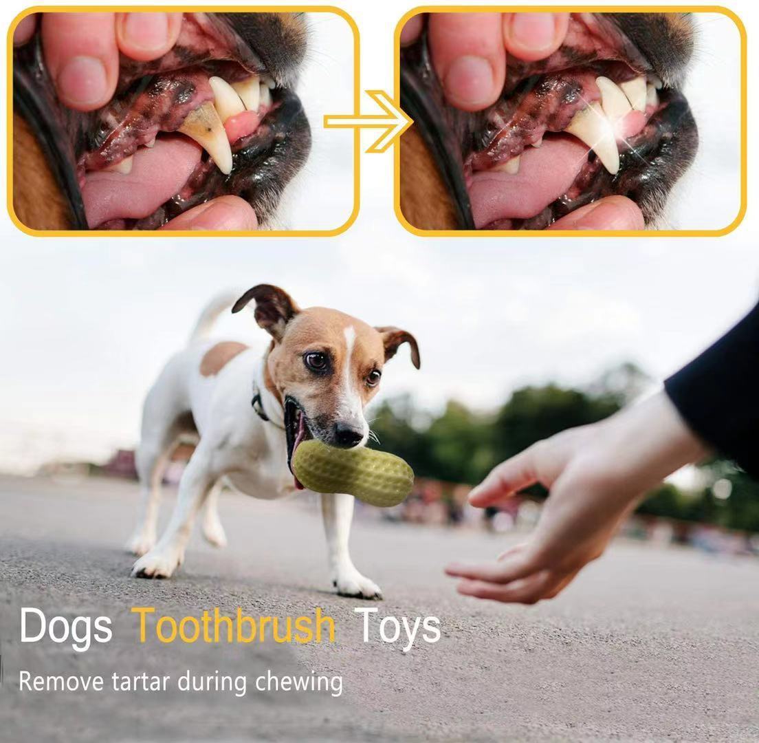 Funny Squeaky Dog Toys