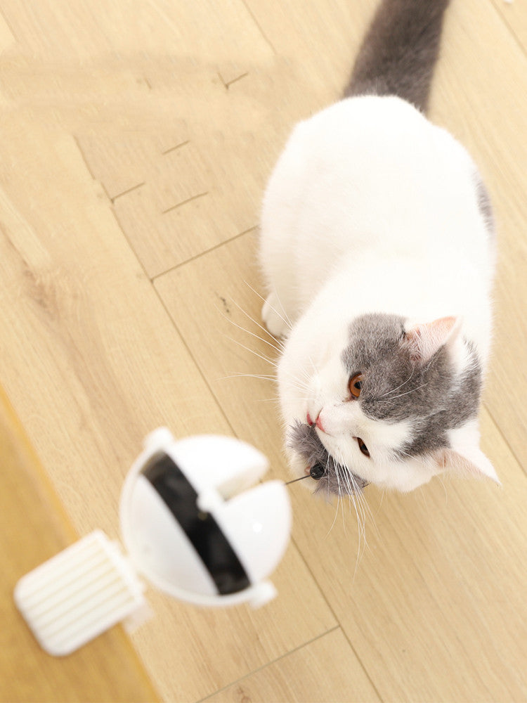 Electric Automatic Lifting Cat Toy