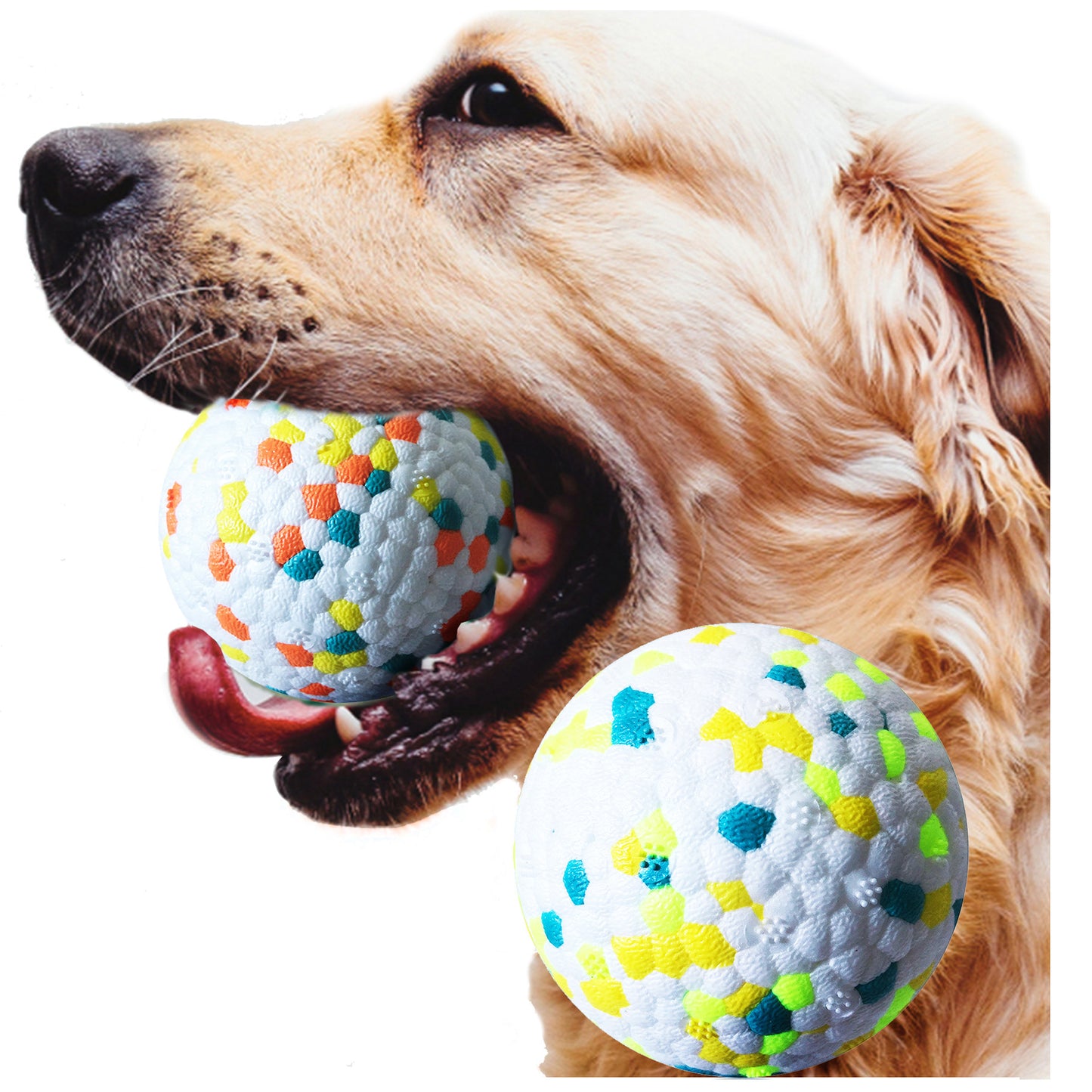 Interactive Dog Molar Chew Toy