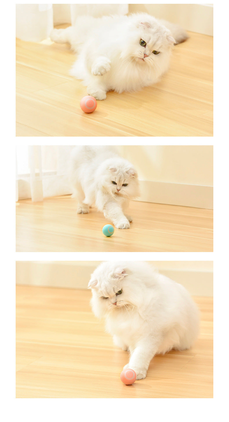 Cat Intelligent Rolling Ball