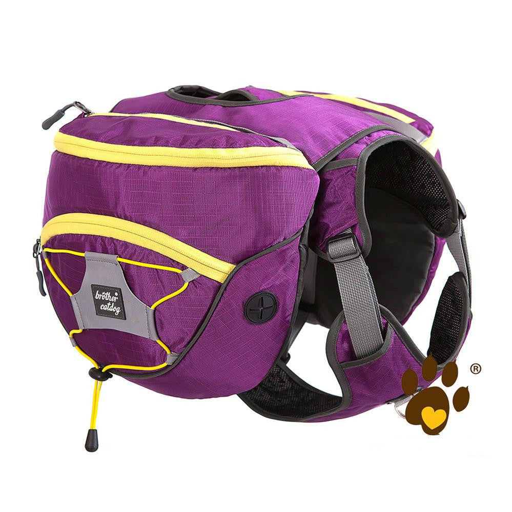 Pet self backpack