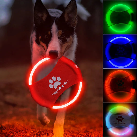 LED Dog Flying Disc