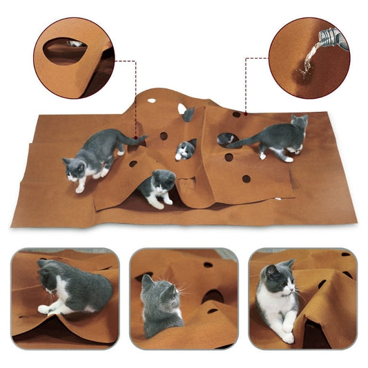 Cat Activity Play Training Mat