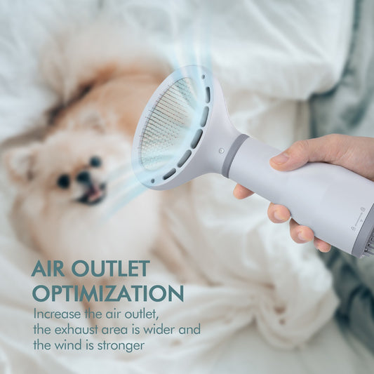 Pet Dog Hair Dryer