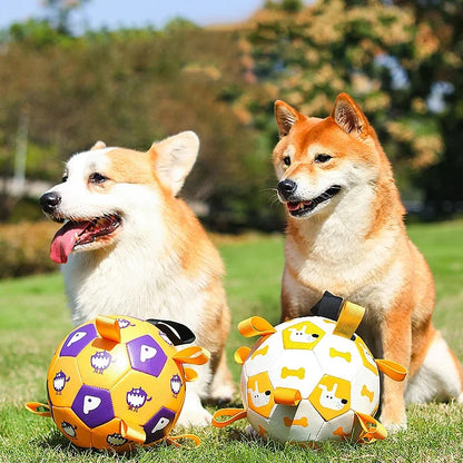 Interactive Dog Soccer Toy