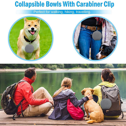 Rubber Foldable Double Pet Feeding Bowl