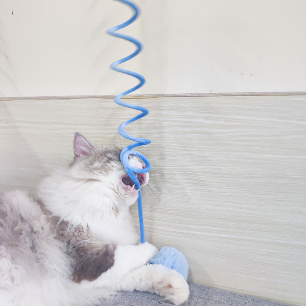 Interactive Spring Cat Toy