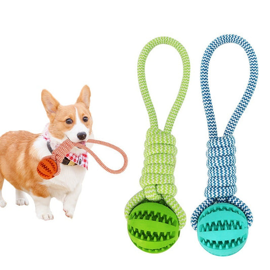 Interactive Dog Chew Toy