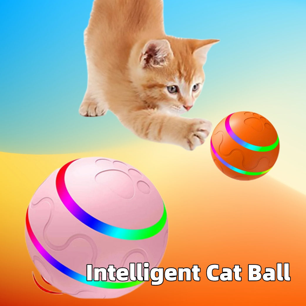 Pet New Cat Wicked Ball