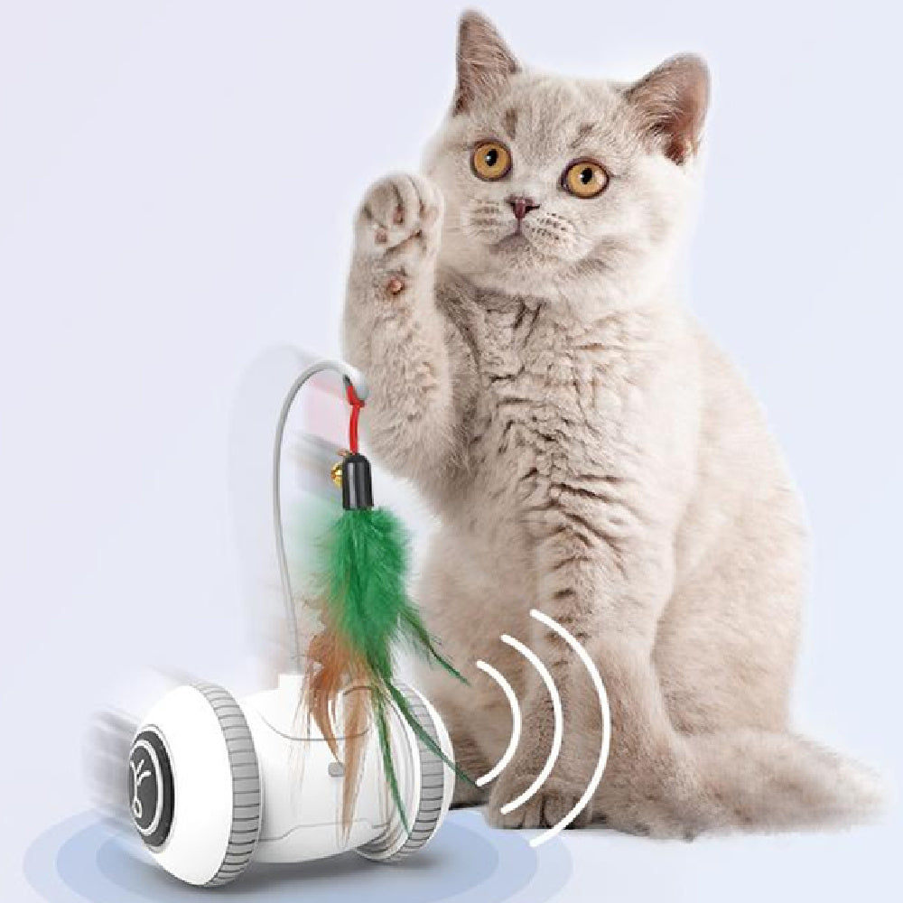 Interactive Cat Toy